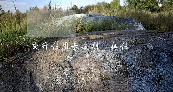 交行信用卡逾期 征信 交行信用卡逾期 征信